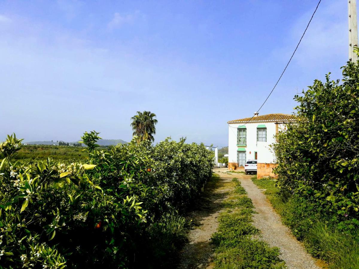 Casa Rural La Estrella Pizarra Zewnętrze zdjęcie