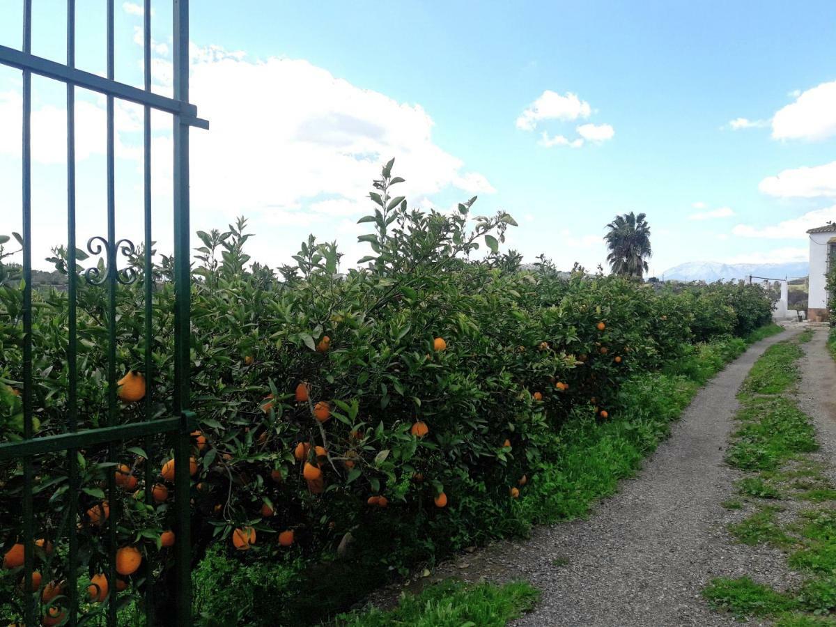Casa Rural La Estrella Pizarra Zewnętrze zdjęcie